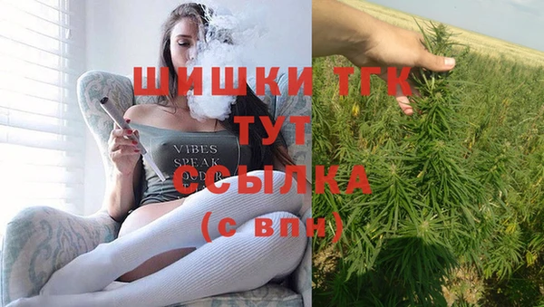 Альфа ПВП Богородск