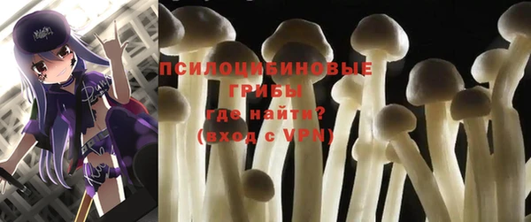 меф Богородицк